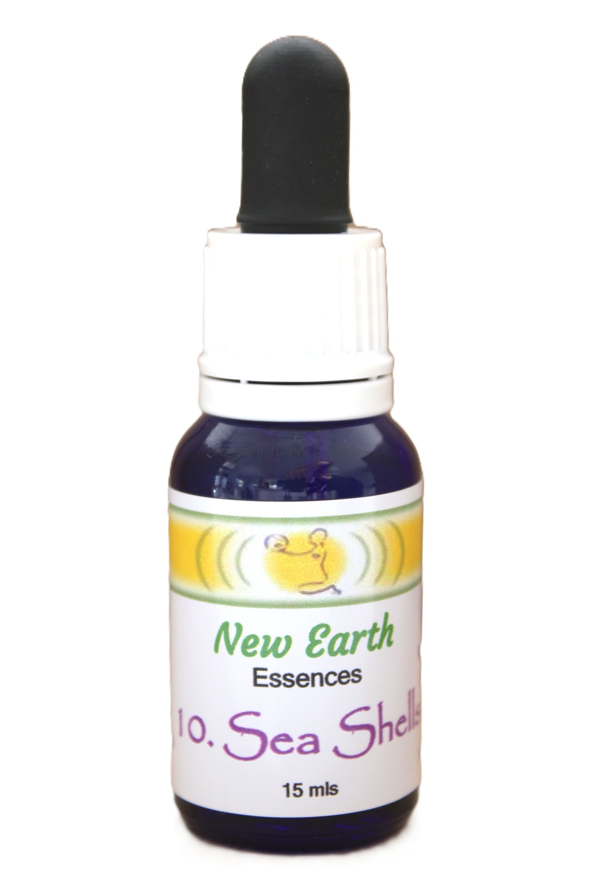 10 Sea Shells – I connect